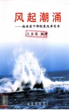 风起潮涌  海南省干部制度改革实录 封面
