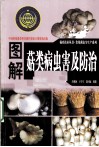 图解菇类病虫害及防治 封面