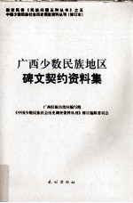 广西少数民族地区碑文契约资料集 封面