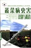蔬菜病虫害识别与防治  新农村建设篇 封面