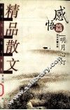 精品散文  感悟篇  明月心灯 封面