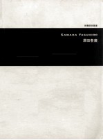 视觉语言丛书  泽田泰广 封面