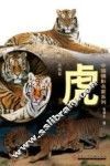 中国摄影名家系列  动物篇  虎集 封面