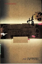 情断南宋 封面