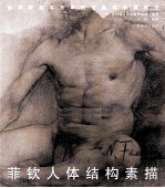菲钦人体结构素描 封面