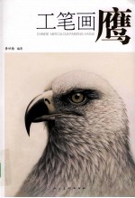 工笔画鹰 封面