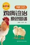 常见鸡病诊治原色图谱  最新版 封面