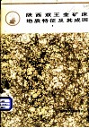 陕西双王金矿床地质特征及其成因 封面