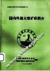 国内外超大型矿床简介 封面
