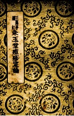 王藻亭删订  朱玉堂痘疹定论  全1册 封面