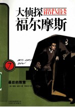 最后的敬意 电子书封面