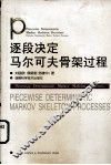 逐段决定马尔可夫骨架过程 封面