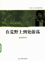 在荒野上到处游荡 封面