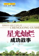 星光灿烂  成功故事 封面