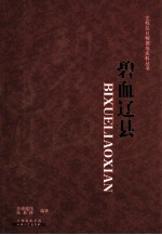 碧血辽县 封面