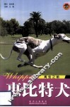 惠比特犬  离弦之箭 封面