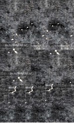 新酬世尺牍大全 封面