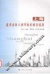 上海建设国际大都市的战略与途径 封面