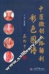 中医微创入路解剖彩色图谱 封面