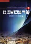 致密岩石油气藏  4 封面