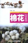棉花科学栽培 封面