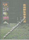 贵州野生草本花卉 封面