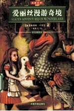 爱丽丝漫游奇境 封面