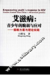 艾滋病  青少年的脆弱与应对  策略方案与理论实践 封面