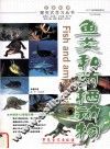 生命科学·探究式学习丛书  鱼类和两栖动物 封面