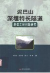 泥巴山深埋特长隧道岩体工程问题研究 封面
