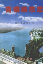 青铜峡市志  下 封面