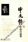 申文钟作品自选集 封面