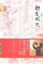 积木城池 封面
