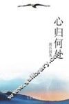 心归何处 封面