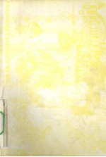 怦怦Love爱情巡演 封面