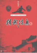 精武陈真传 封面