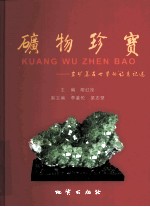 矿物珍宝诗意巡览  岩矿美石世界的诗意记述 封面