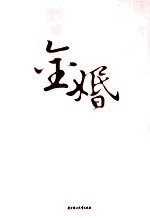 金婚风雨情 封面