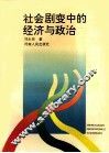 社会剧变中的经济与政治 封面