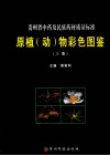 贵州省中药及民族药材质量标准原植（动）物彩色图鉴  上 封面