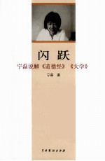 闪跃  宁磊说解《道德经》、《大学》 封面