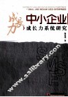 中小企业成长力系统研究 电子书封面