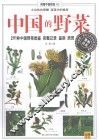 中国的野菜 封面