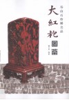 大红袍图鉴  寿山石珍稀名品 封面