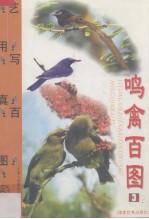 鸣禽百图  3 封面