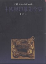 中国玺印篆刻全集  第1卷  玺印  上 封面
