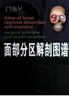 面部分区解剖图谱  手术原理与整形实践 封面