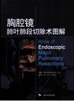 胸腔镜肺叶肺段切除术图解 封面