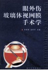 眼外伤玻璃体视网膜手术学 封面