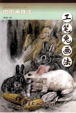 工笔兔画法 封面